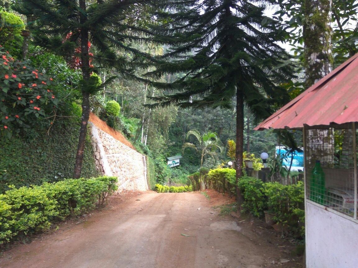 surrounding environment