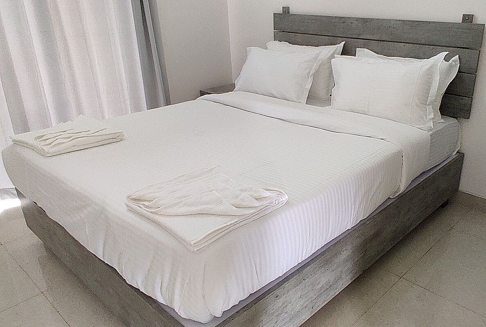 Passions de Goa Standard Double Room 3