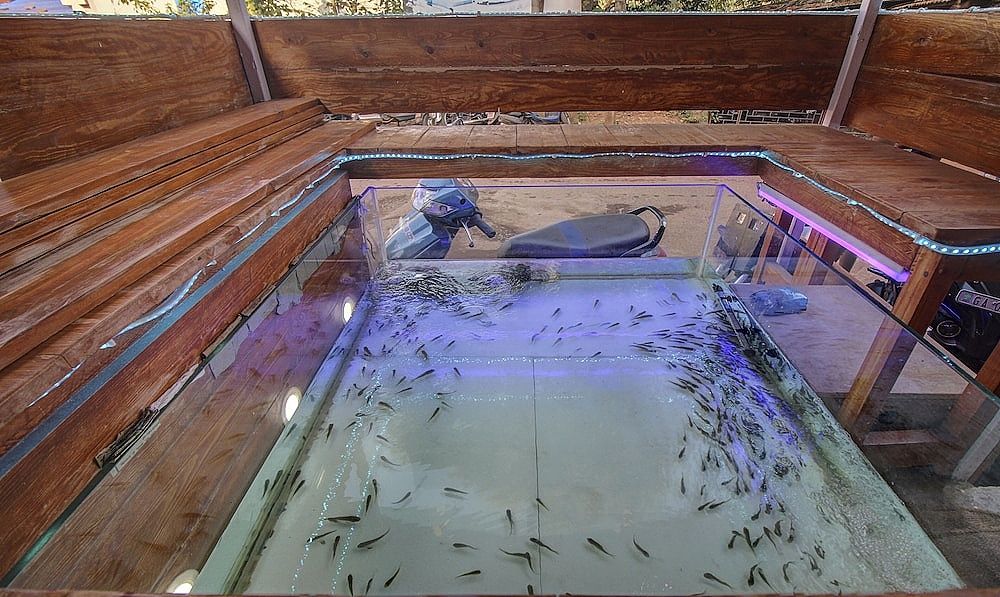 undefined Treebo Trip Lazy Holidays 10