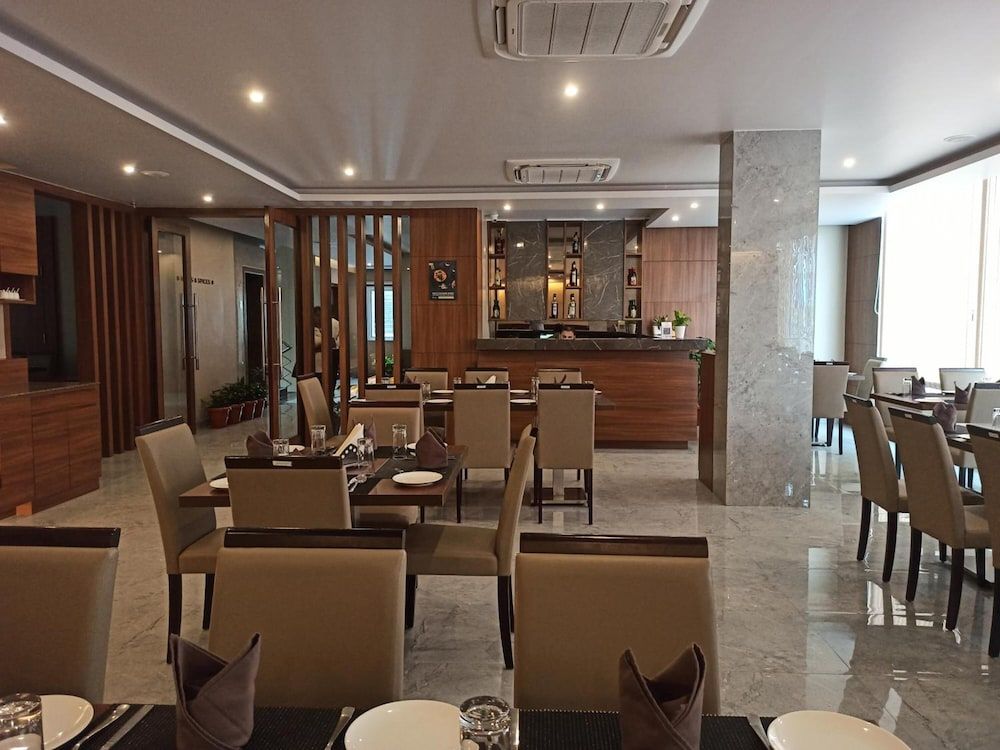 undefined Hotel Tree Fern 8