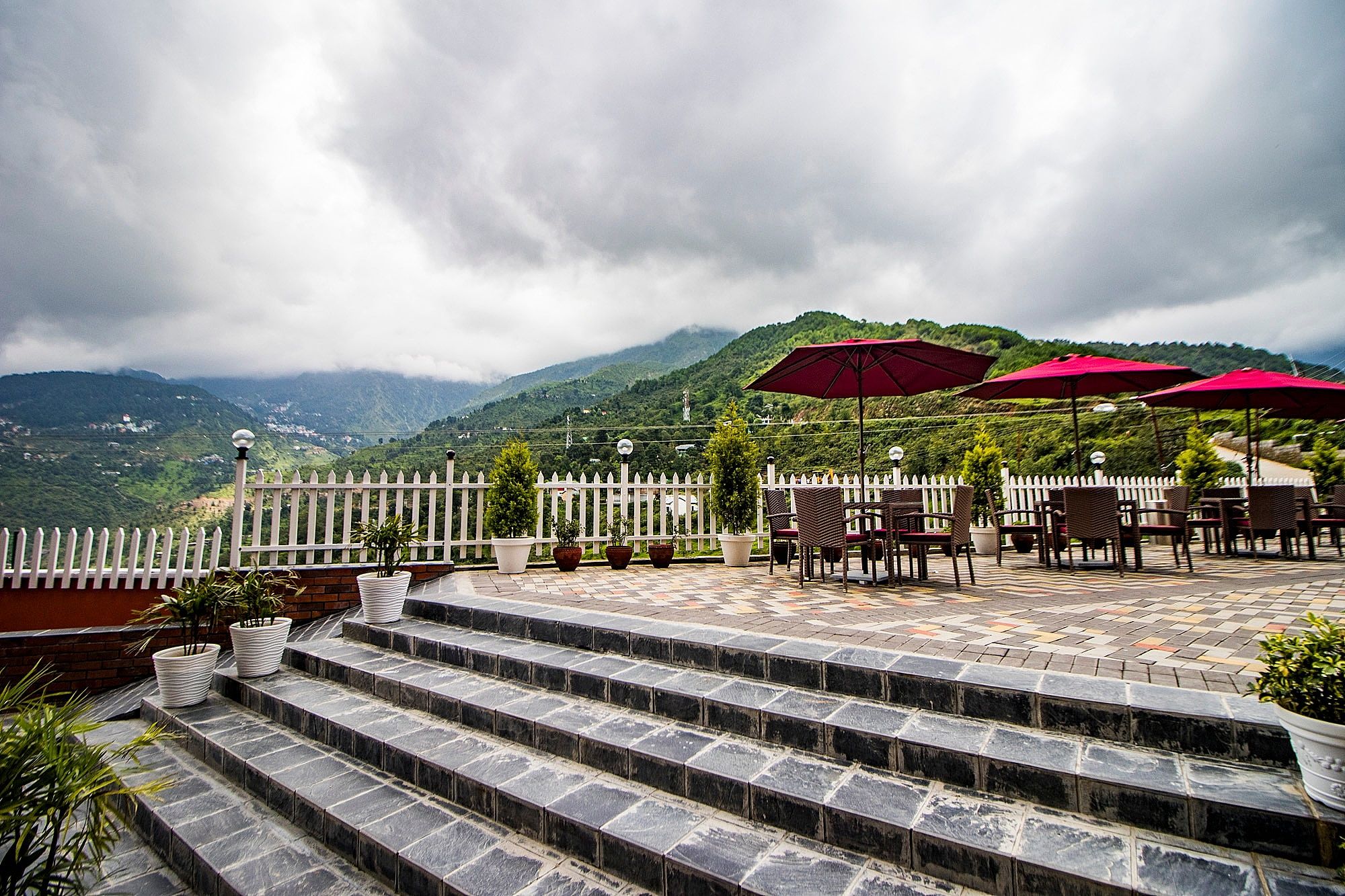 undefined juSTa Birding Dharamshala 4