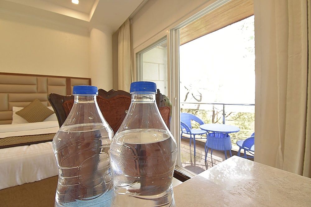 Royal Castle Dharamshala Deluxe without balcony 18