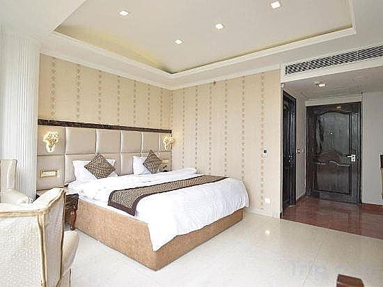 Royal Castle Dharamshala Deluxe without balcony 2