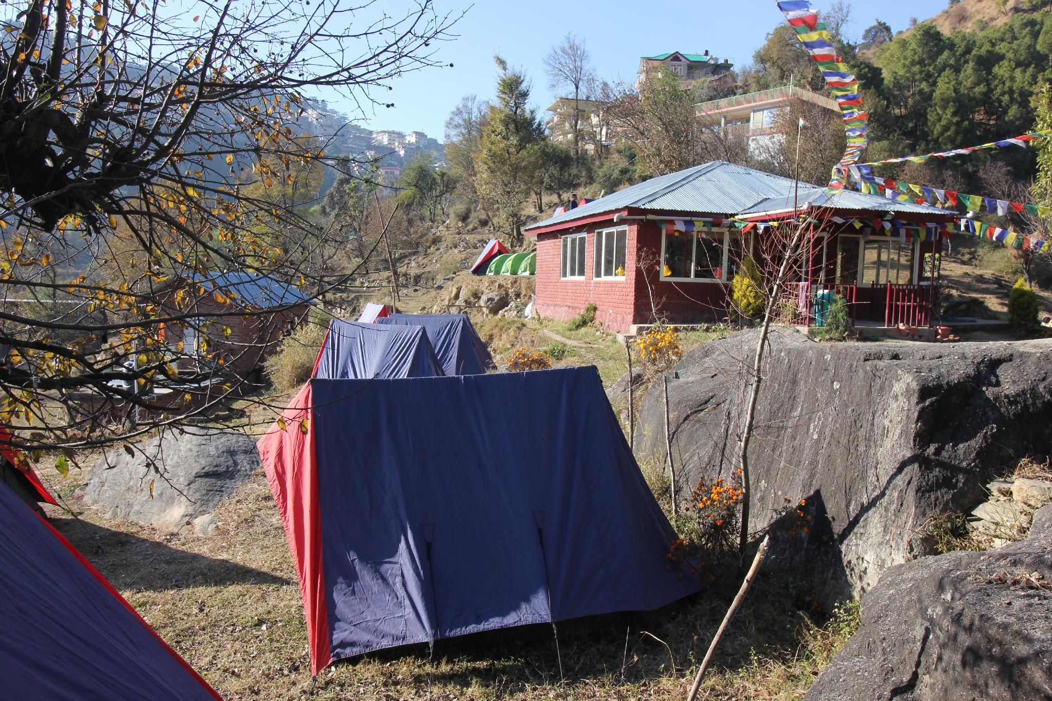 View