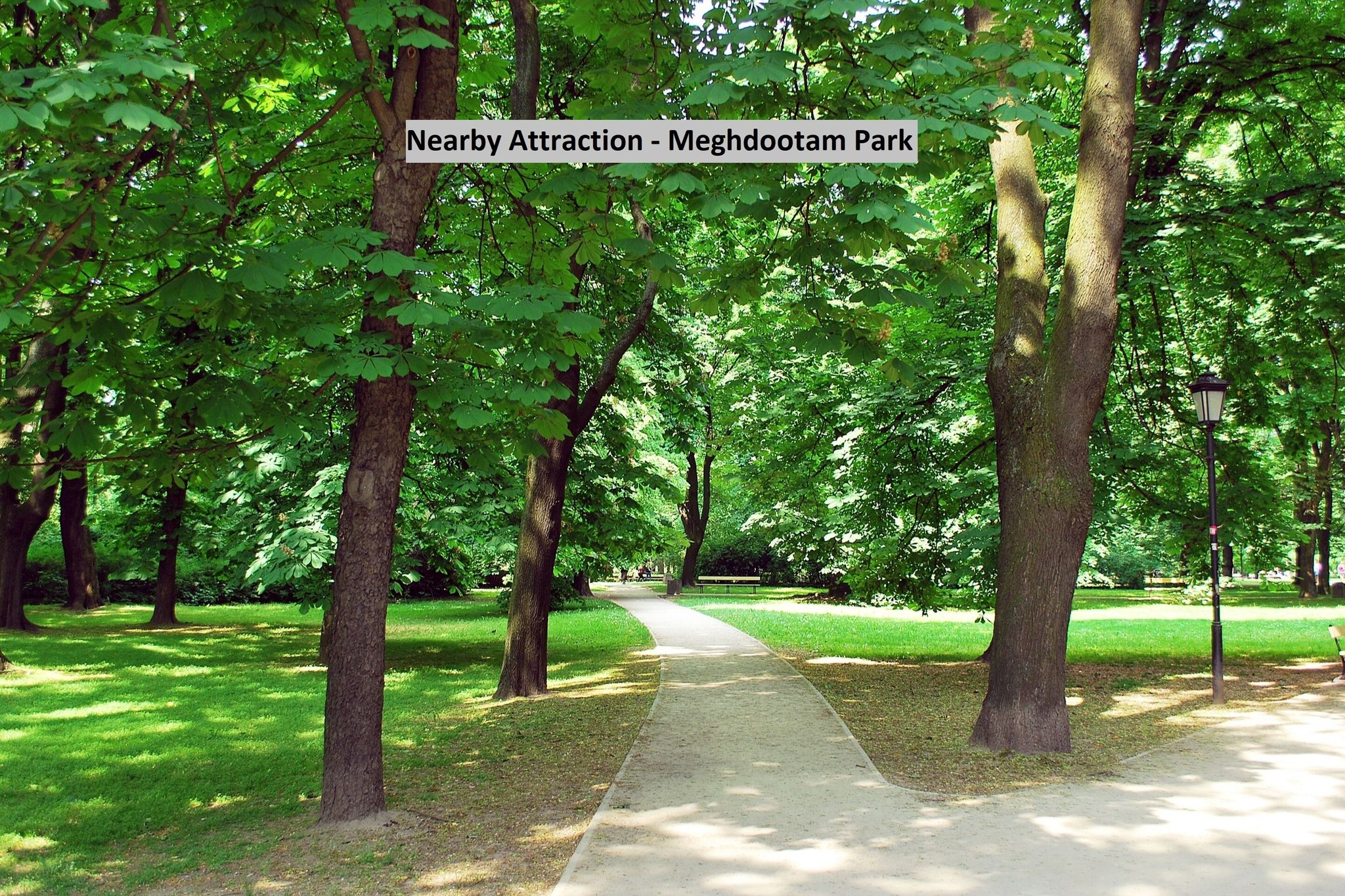 undefined OYO 9074 Mascot TREO 5