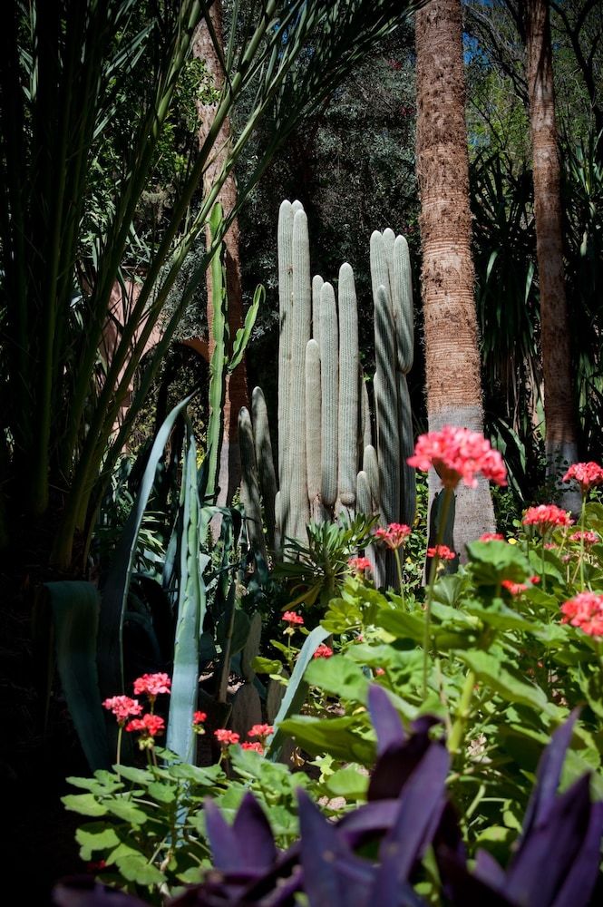 undefined Dar Ayniwen Garden Hotel & Bird Zoo 10