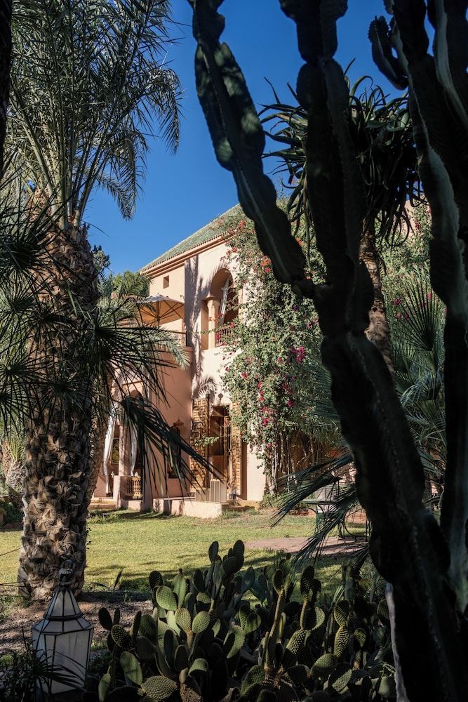 undefined Dar Ayniwen Garden Hotel & Bird Zoo 6