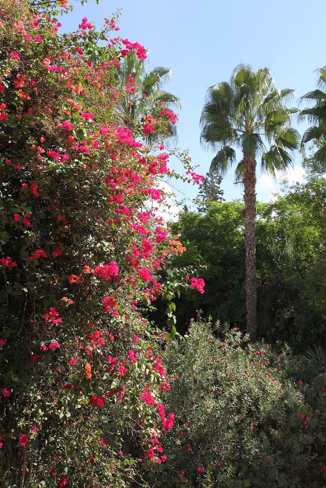 undefined Dar Ayniwen Garden Hotel & Bird Zoo 7