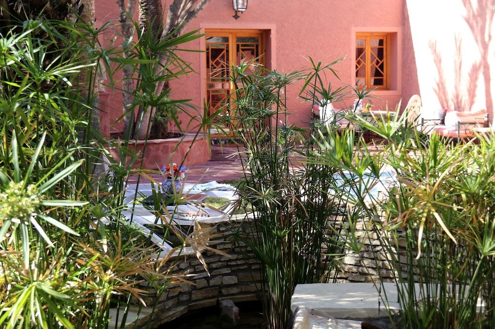 undefined Dar Ayniwen Garden Hotel & Bird Zoo 4