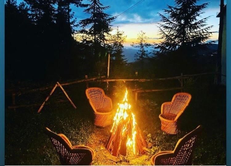 Hotel Himalayan River and Camps