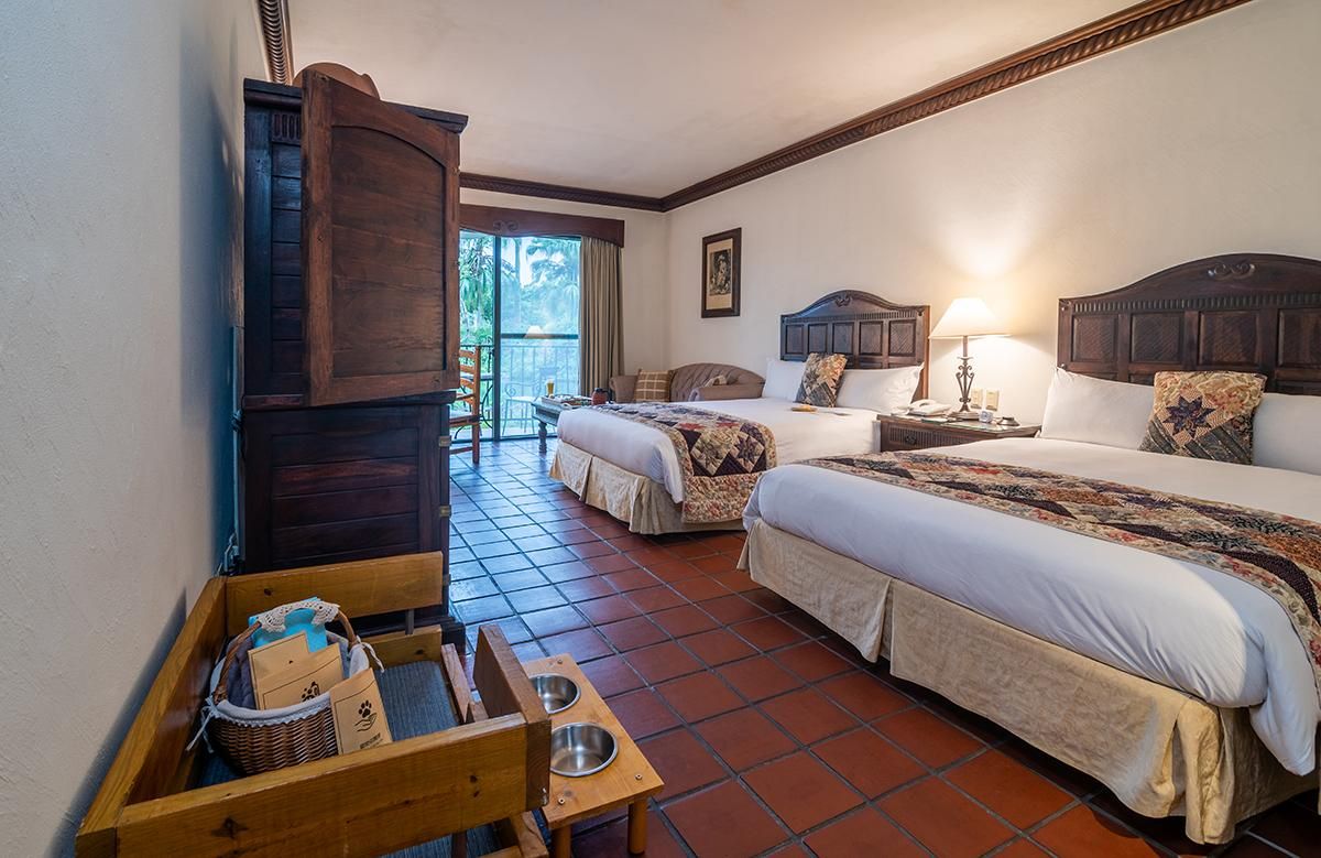 Room - Dog Friendly