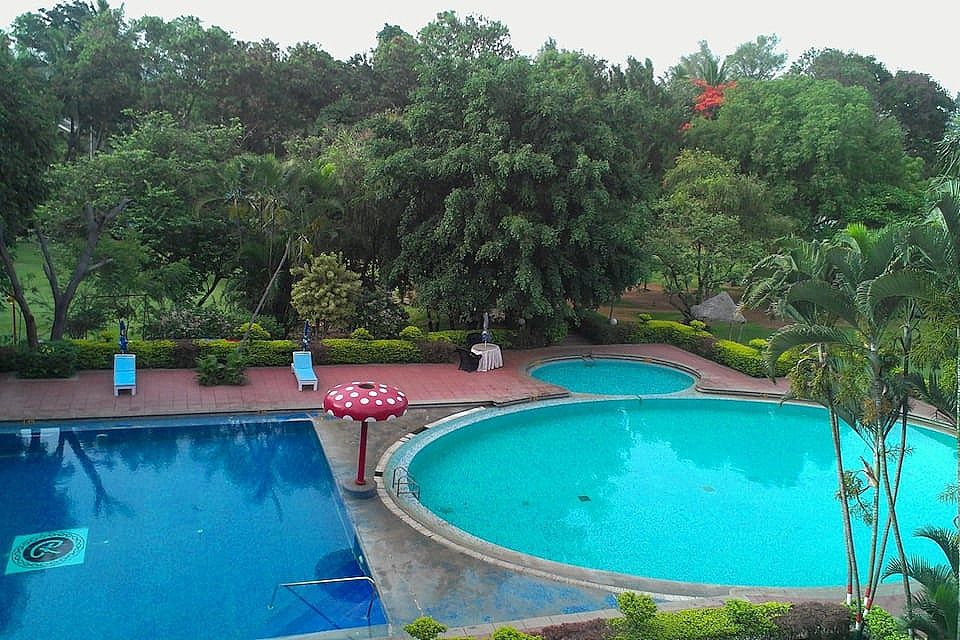 Swimming Pool View