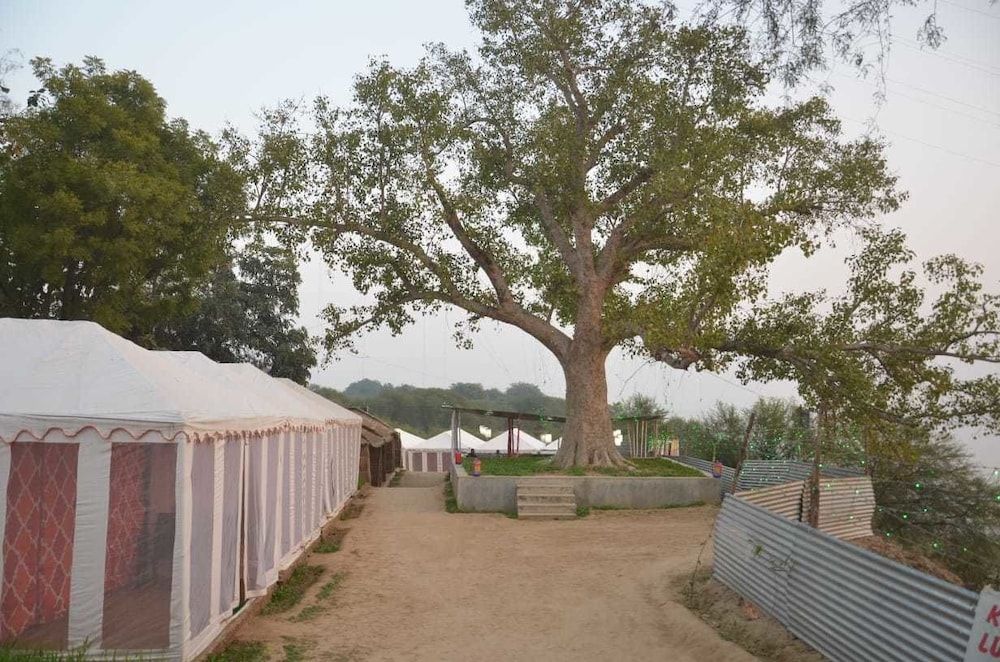 undefined Kumbh Luxury Tents 8