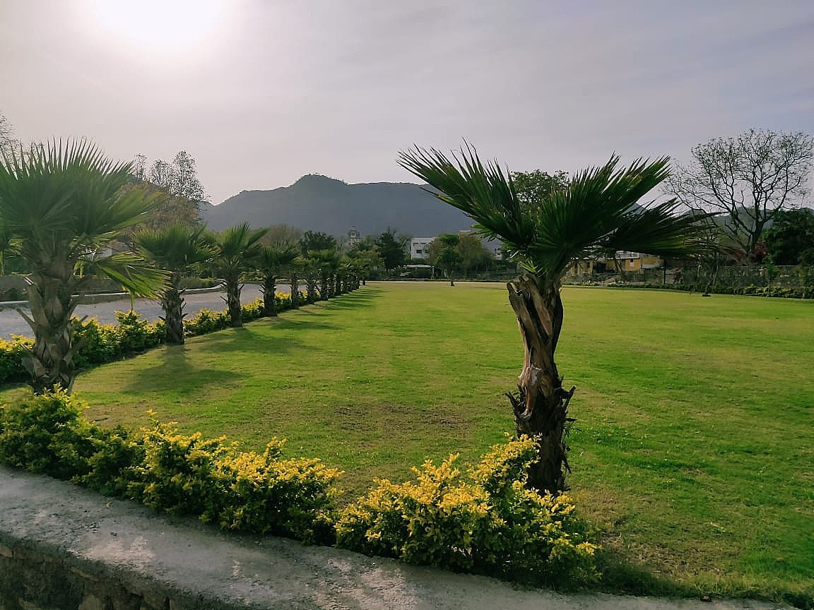 undefined Villa Le Palms - A Luxury Resort In Udaipur 8