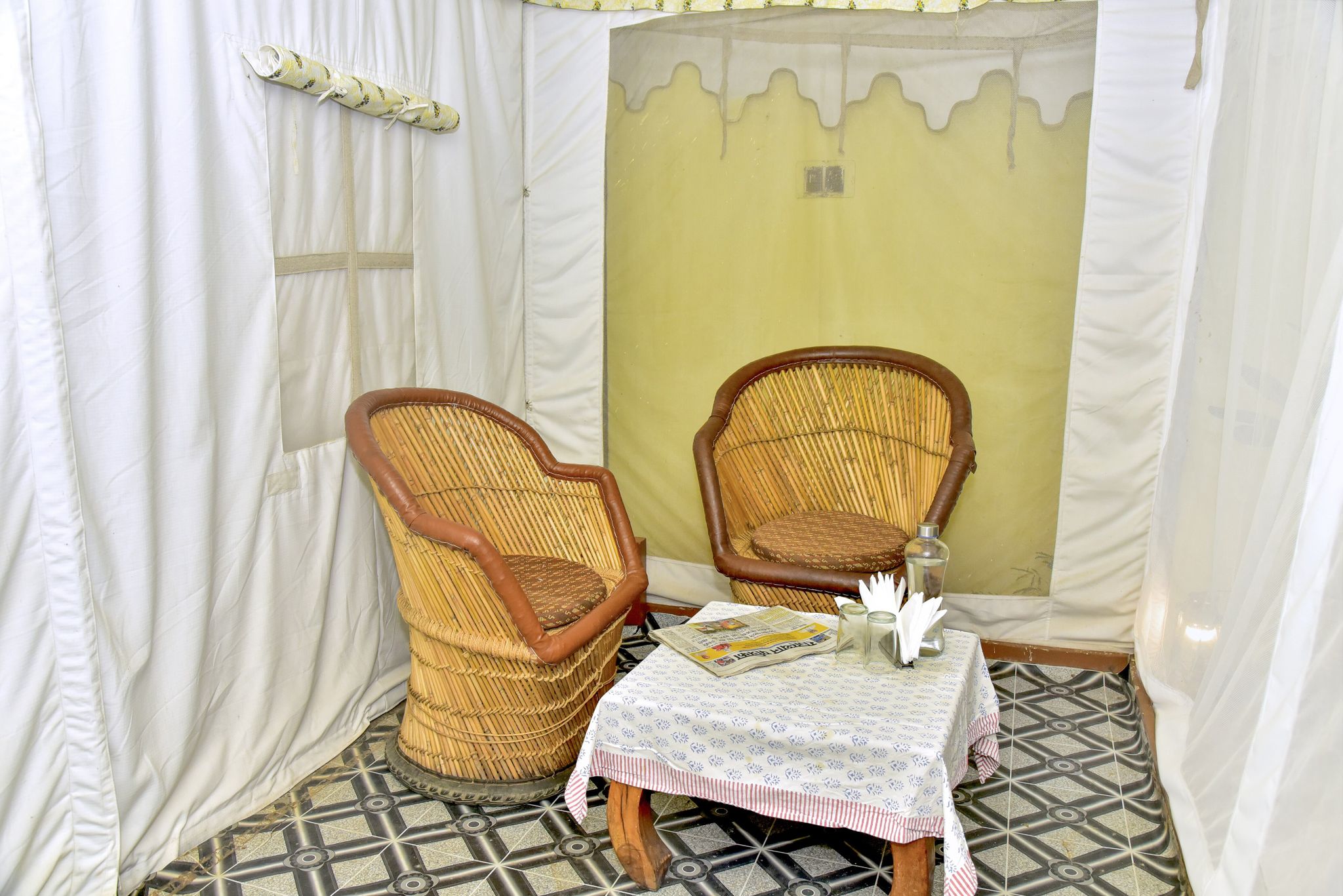 undefined Tiger Queen Ranthambore 9