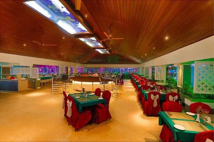 undefined N M Royale County 6