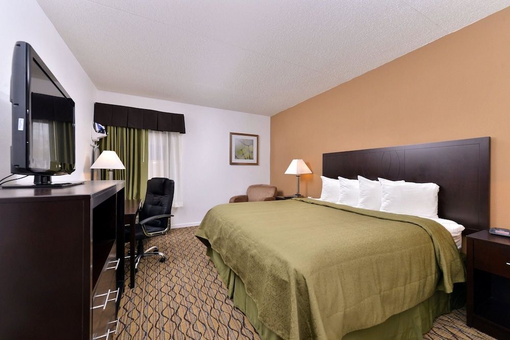 Room, 1 King Bed