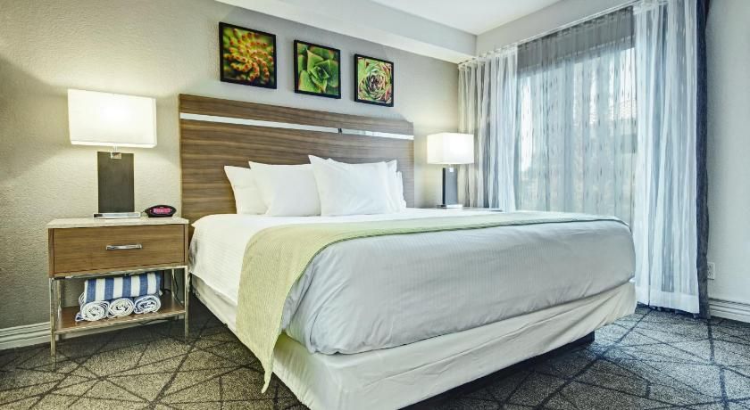 Desert Rose Resort 1 bedroom Suite