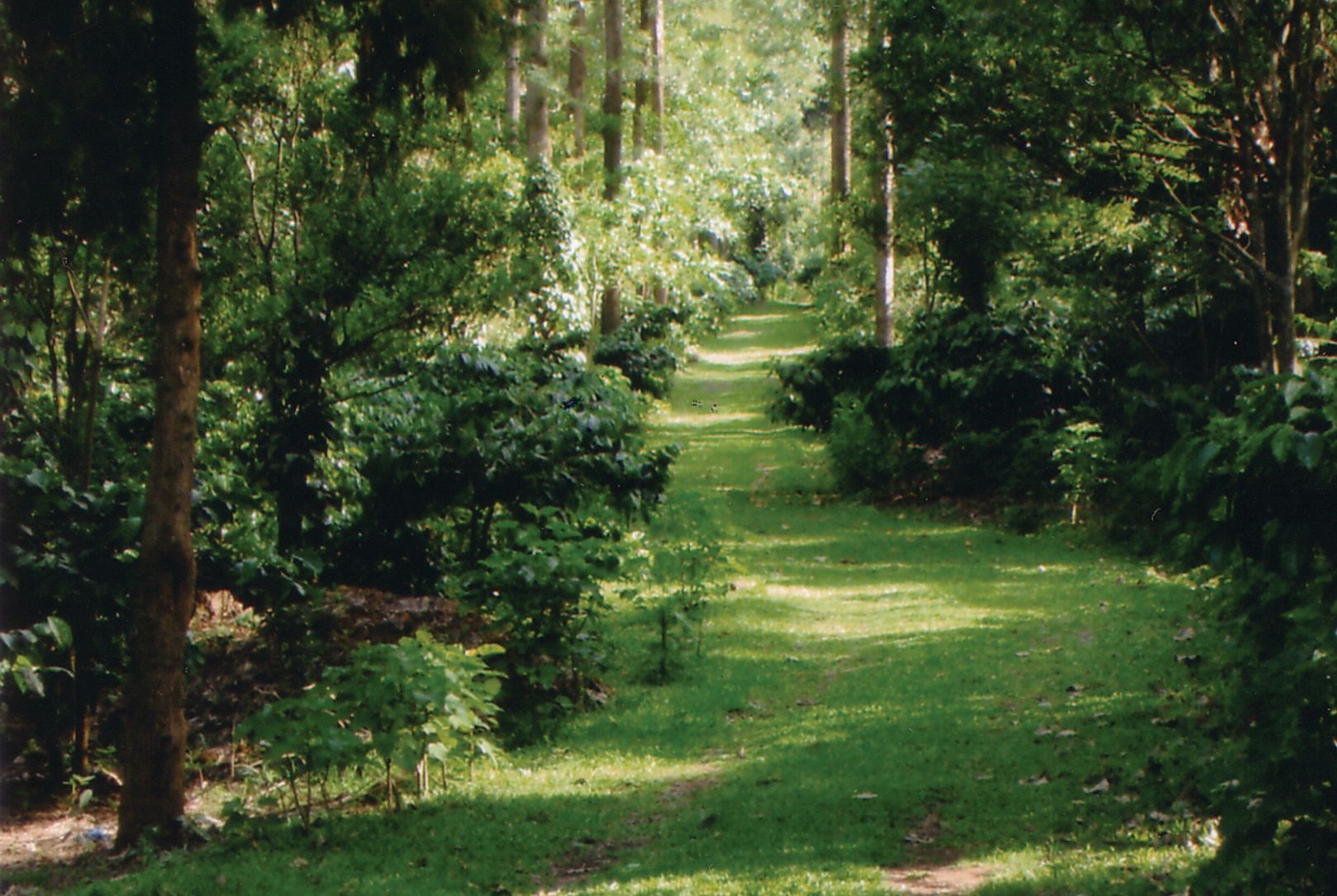 undefined INDeco Lakeforest 4