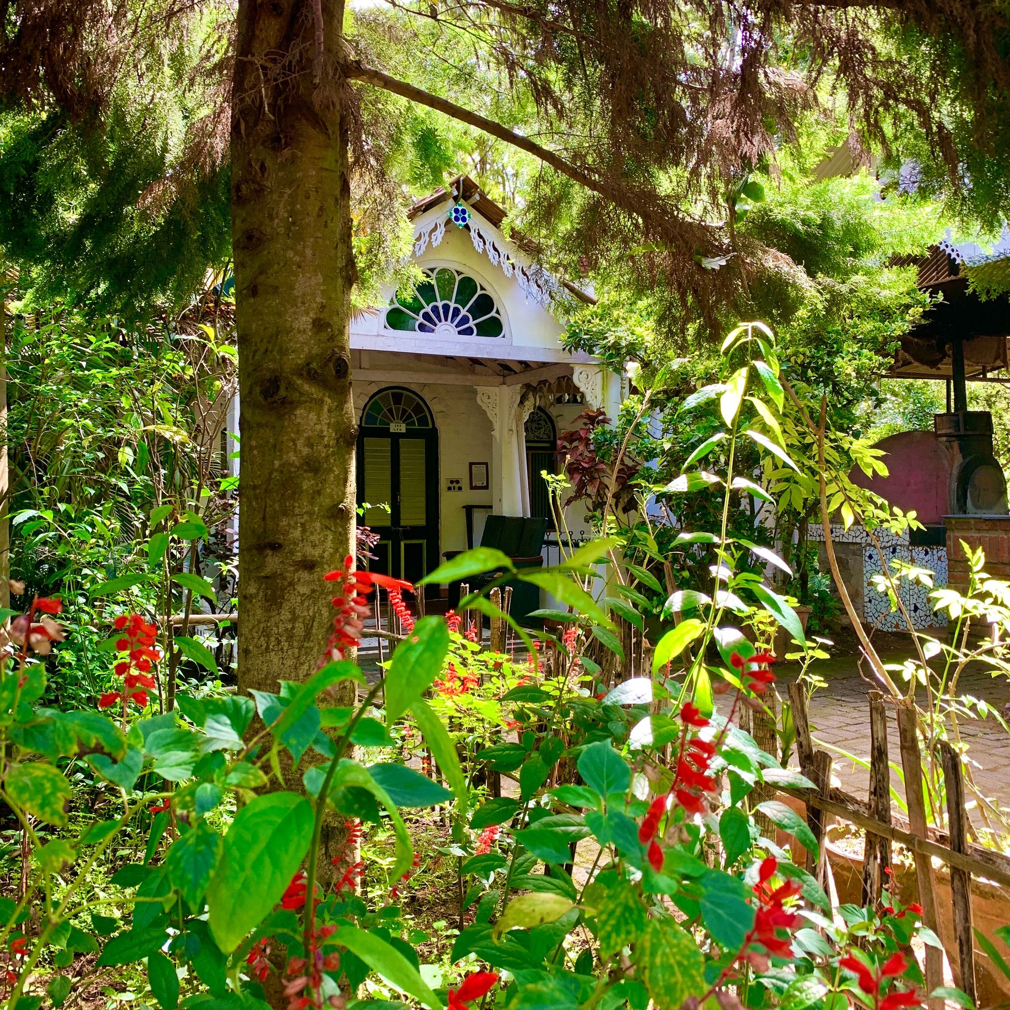 undefined INDeco Lakeforest 9