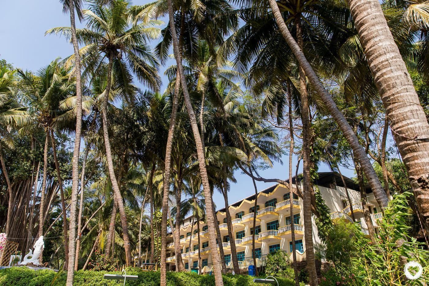 Hotel Exterior