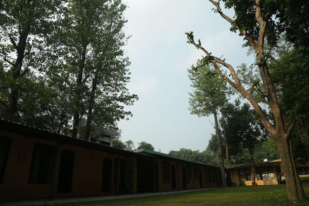 undefined Ganga Yog Retreat by Yog Gurukul 2