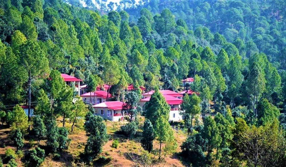 undefined Majkhali Woods 2