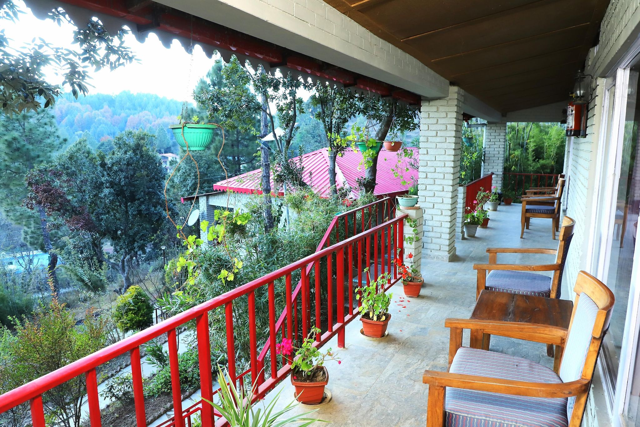 undefined Majkhali Woods 3