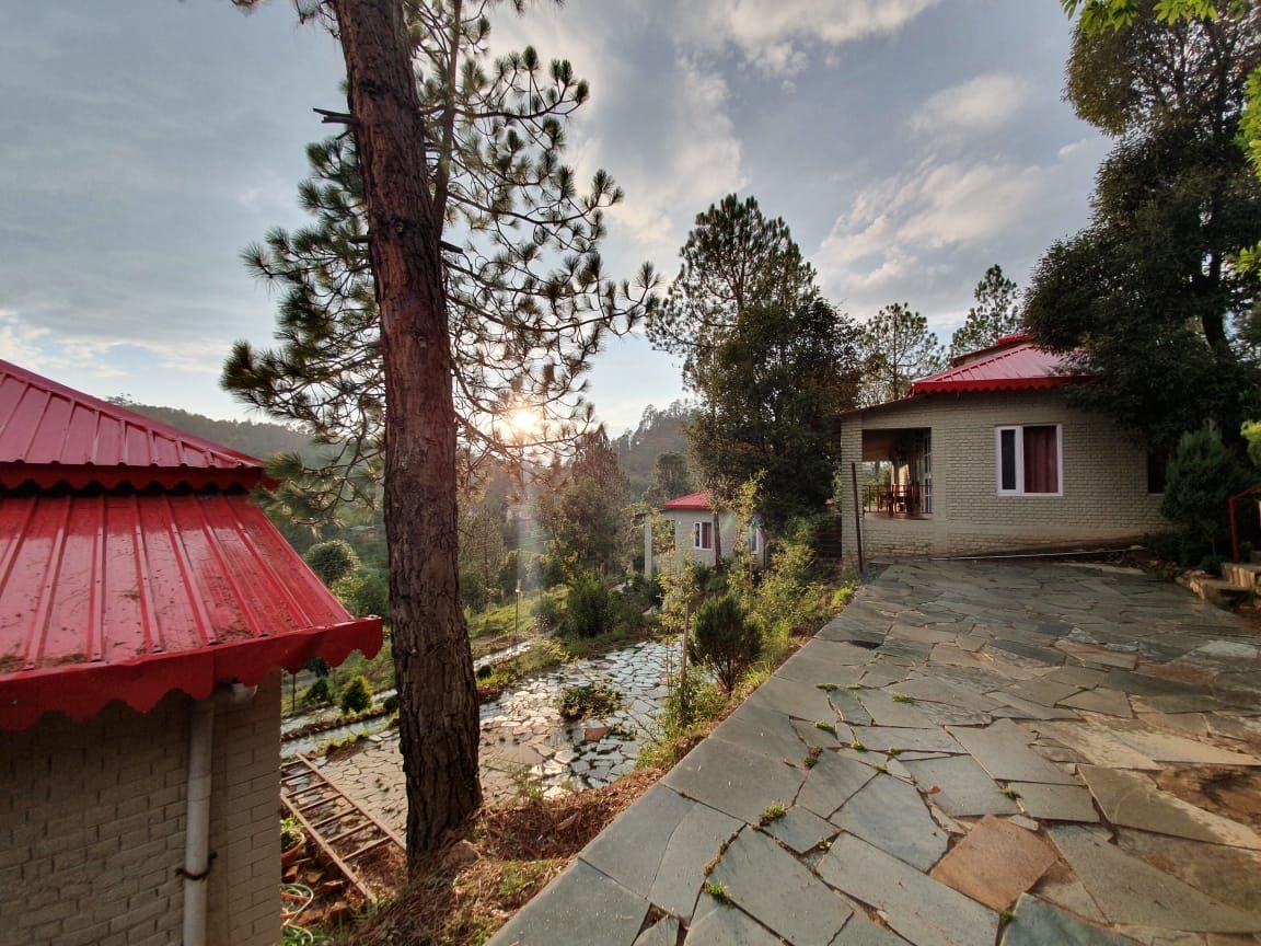 undefined Majkhali Woods 10