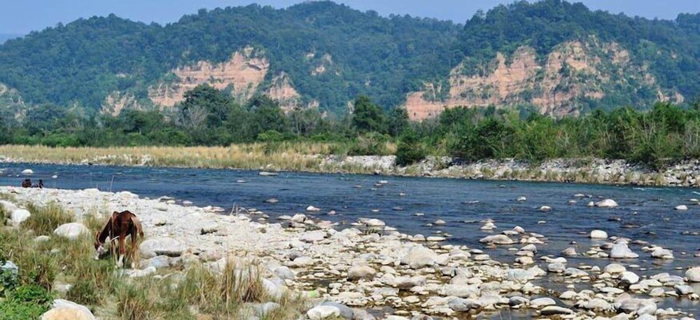 undefined Vanya River Lodge 4