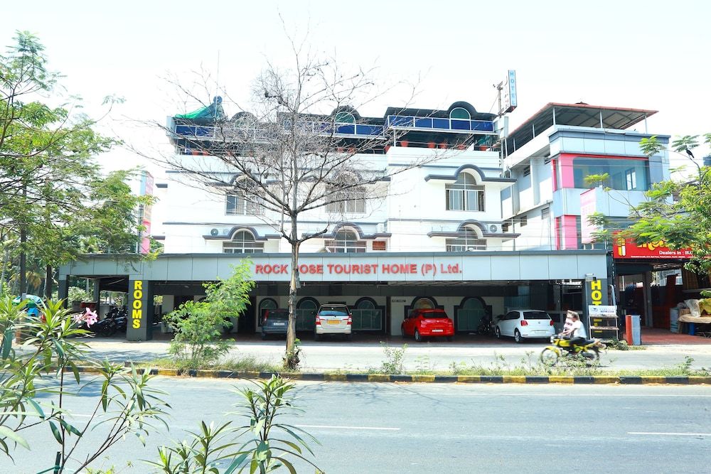 undefined Rock rose 6