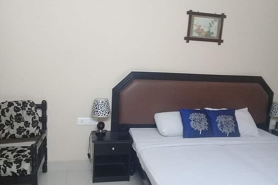 undefined Rock rose 9