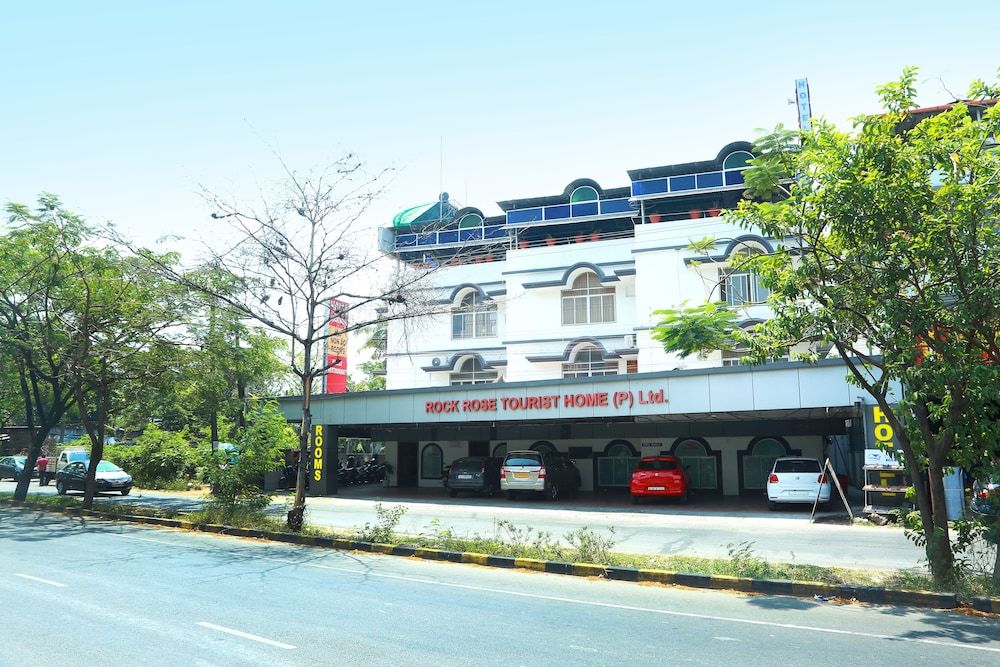 undefined Rock rose 7