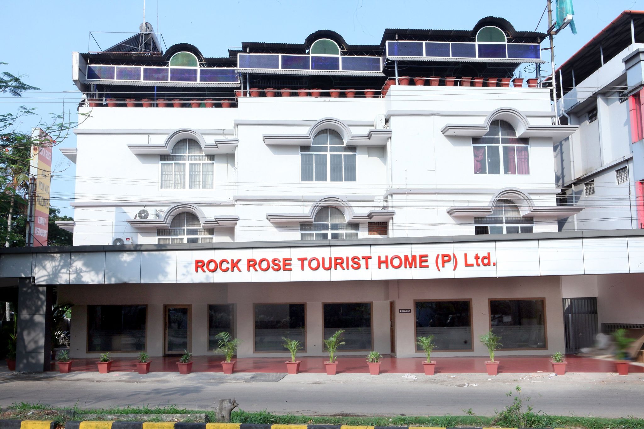 undefined Rock rose 8