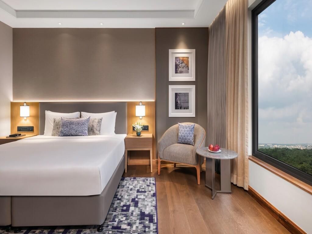 Superior Room King Bed