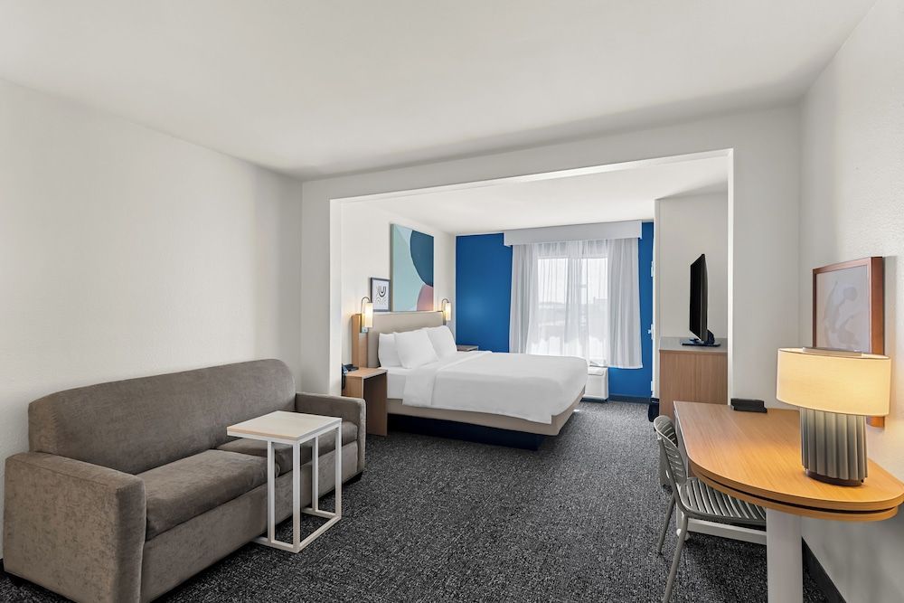 Room, 1 King Bed with Sofa bed