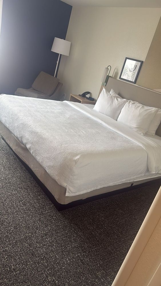 Room, 1 King Bed, Accessible (Mobility & Hearing, Roll-in Shower)