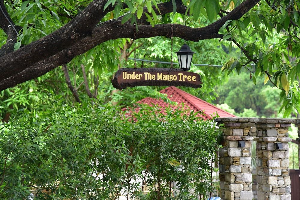 undefined Tree of Life Vanvilas Riveredge 8