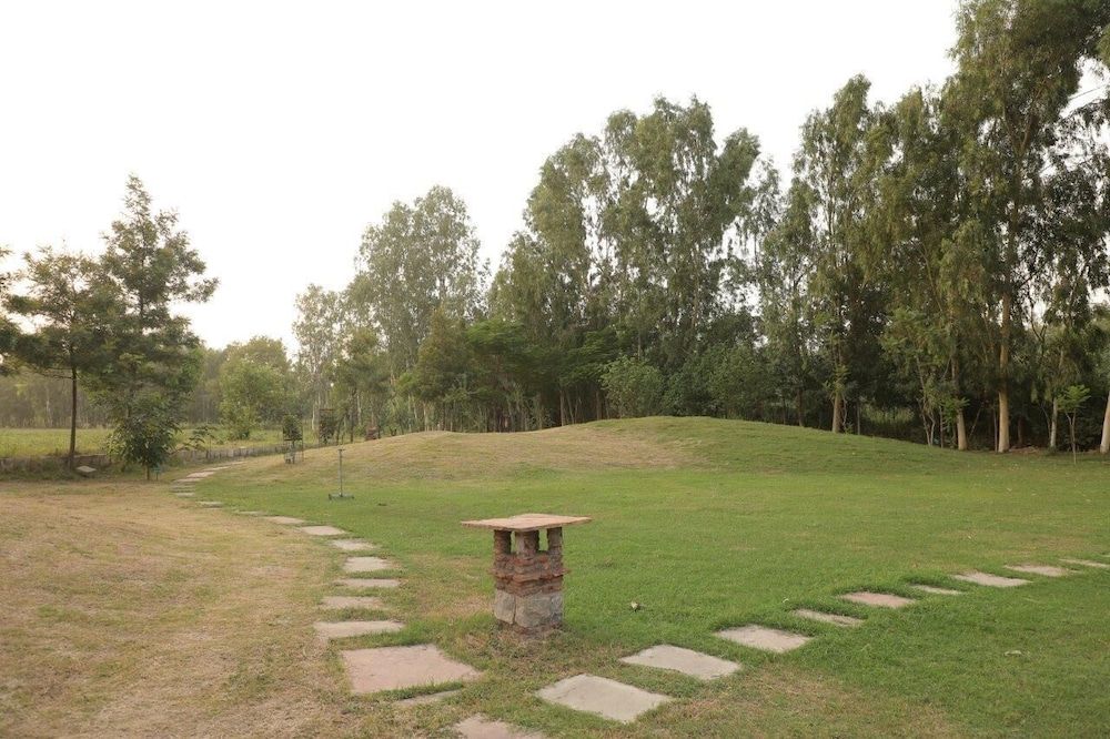 Outdoor Wedding Area
