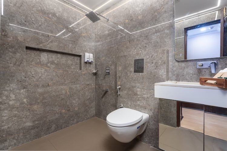 DLS Park Grace Deluxe Room 4