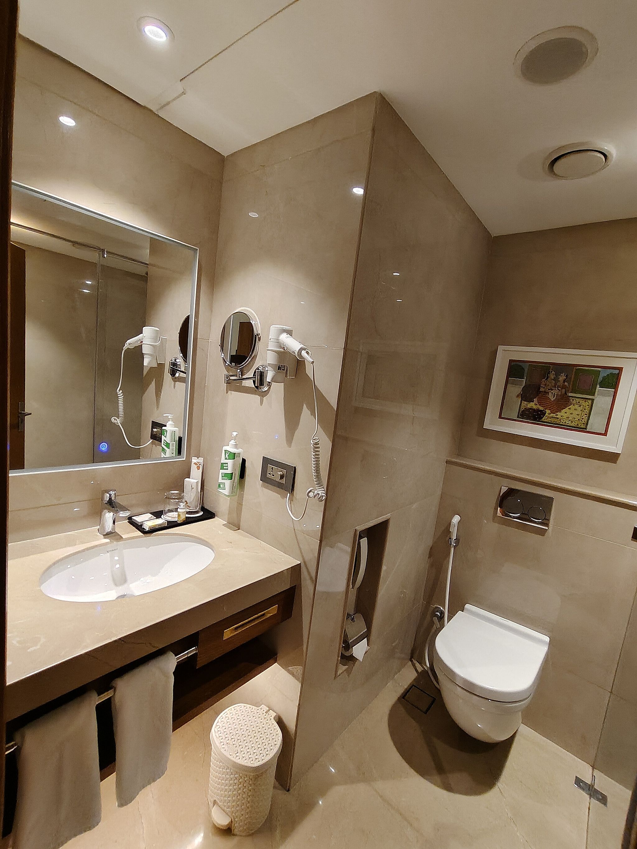 Pride Hotel Udaipur Premium Twin Room 3