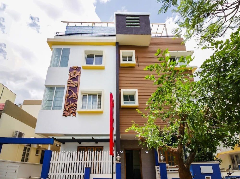 undefined Olive Shine 5