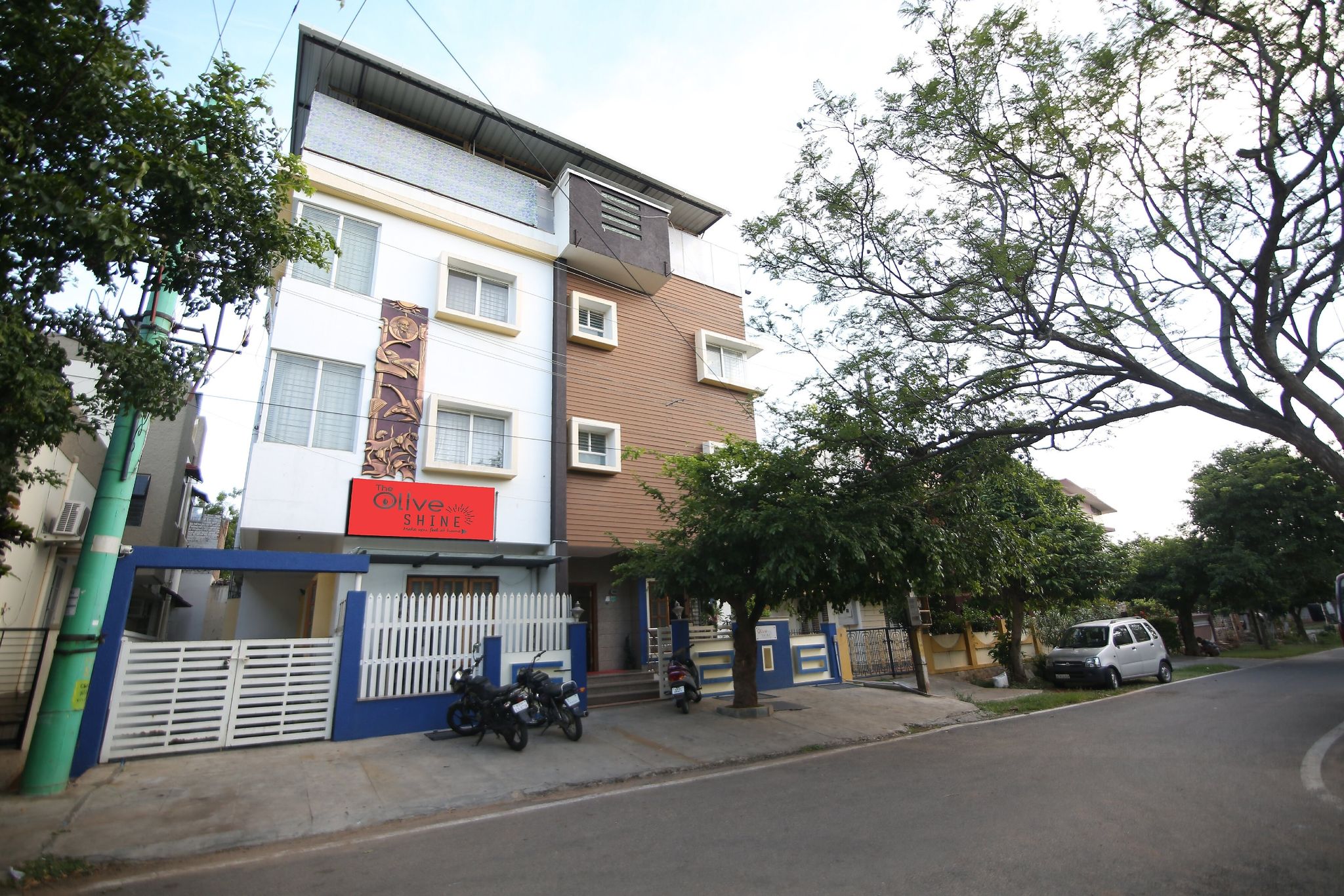 undefined Olive Shine