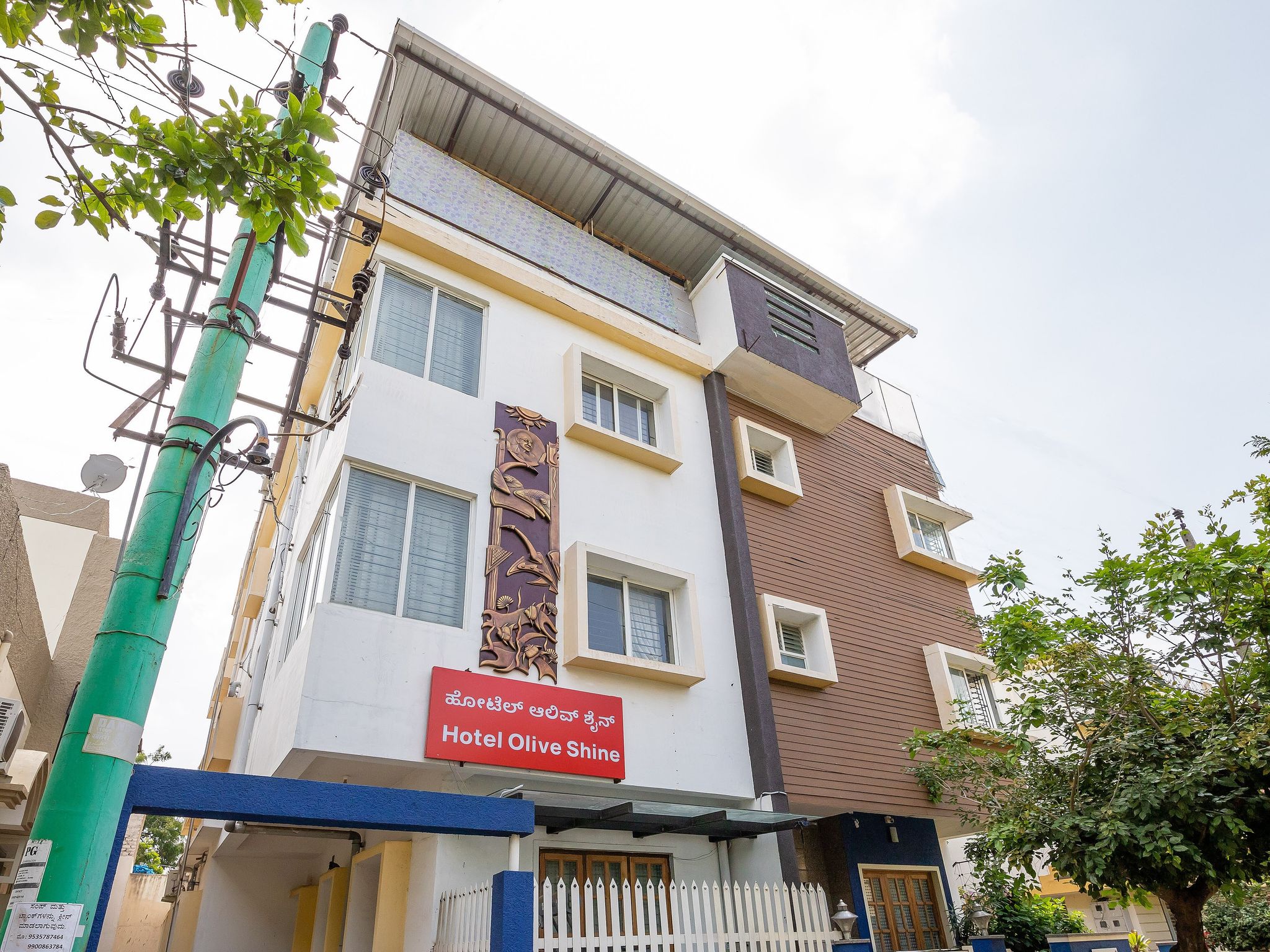 undefined Olive Shine 7