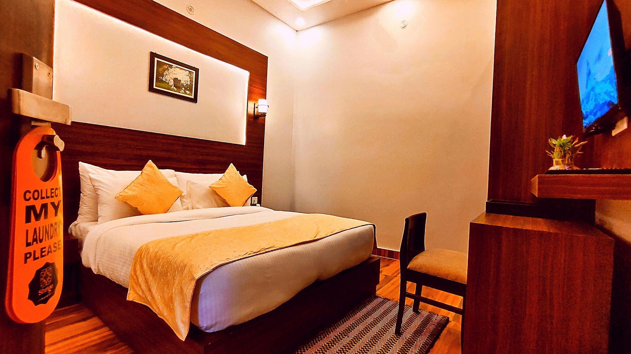 Asapian House Premium 3
