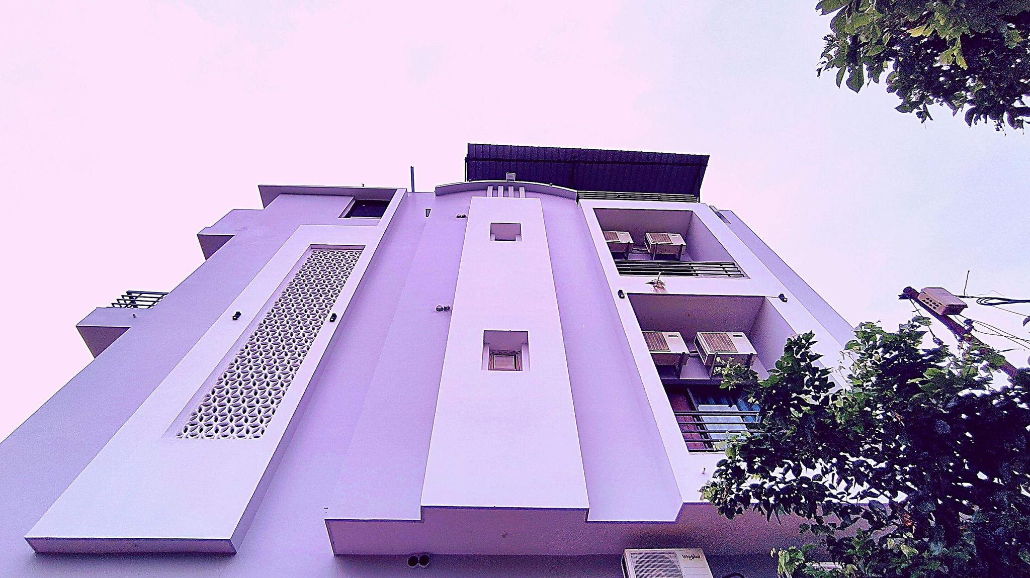 Asapian House Premium 10