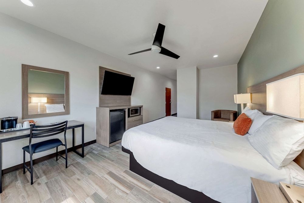 Room, 1 King Bed, Non Smoking (Pet Friendly)