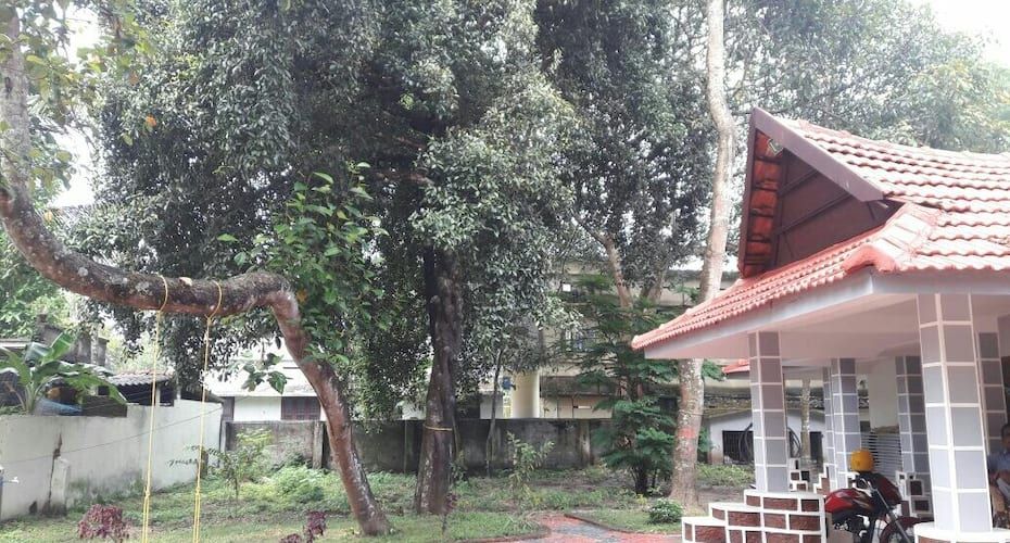 undefined Canaan marari 6