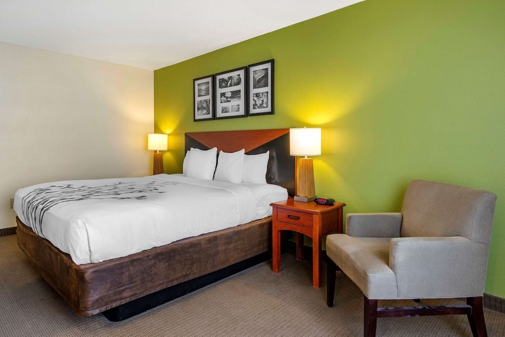 Room, 1 King Bed, Accessible, Non Smoking