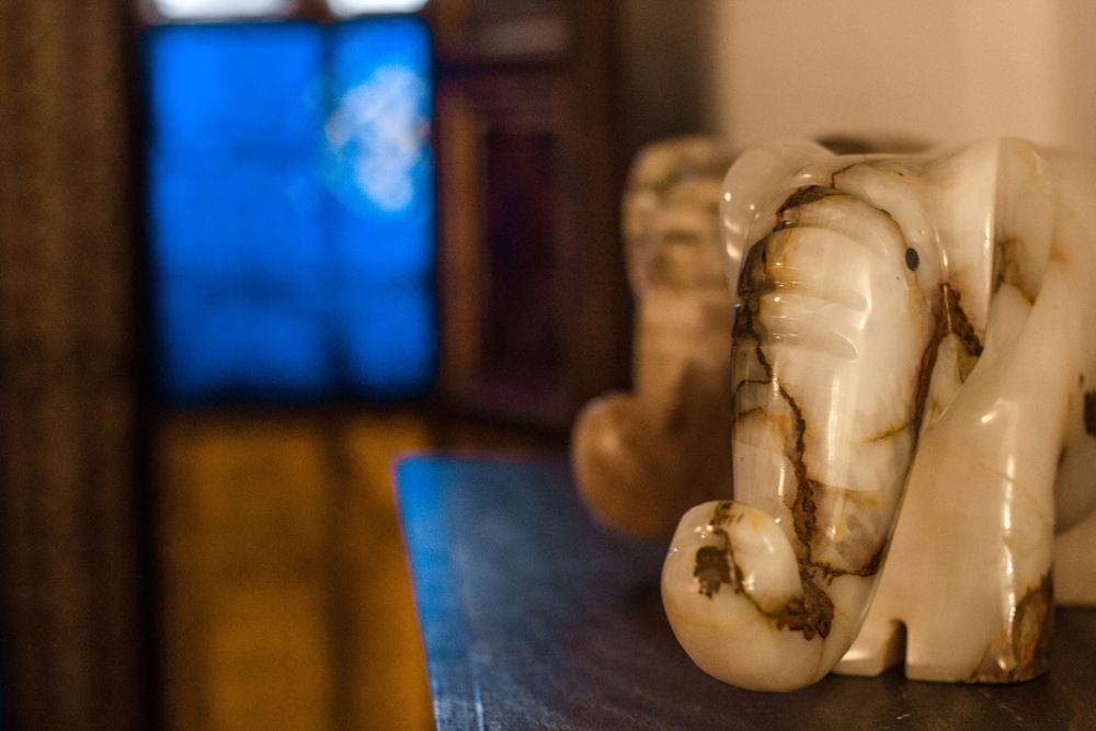 undefined Palais Sebban 9